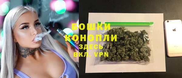 ПСИЛОЦИБИНОВЫЕ ГРИБЫ Аркадак