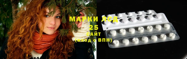 ПСИЛОЦИБИНОВЫЕ ГРИБЫ Аркадак
