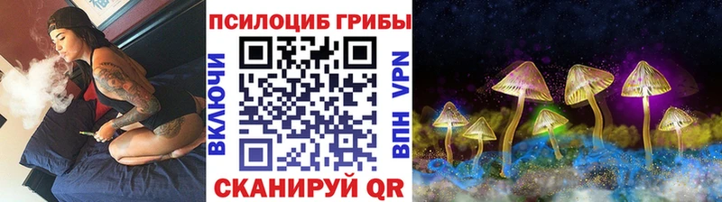 Галлюциногенные грибы прущие грибы  Куйбышев 